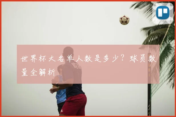 世界杯大名单人数是多少？球员数量全解析
