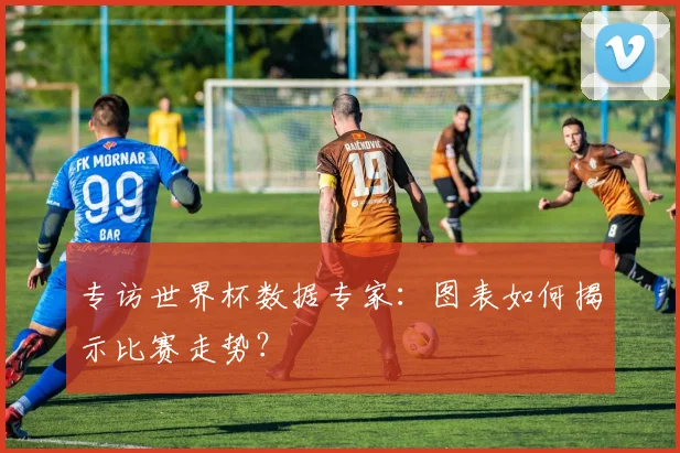 专访世界杯数据专家：图表如何揭示比赛走势？