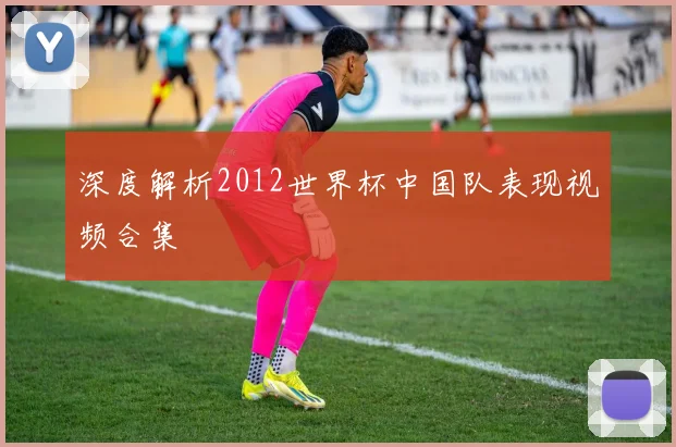 深度解析2012世界杯中国队表现视频合集