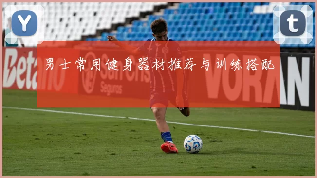 男士常用健身器材推荐与训练搭配