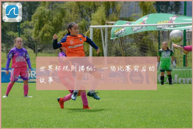 世界杯规则揭秘：一场比赛背后的故事