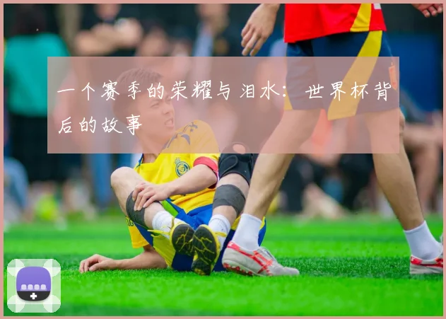 一个赛季的荣耀与泪水：世界杯背后的故事