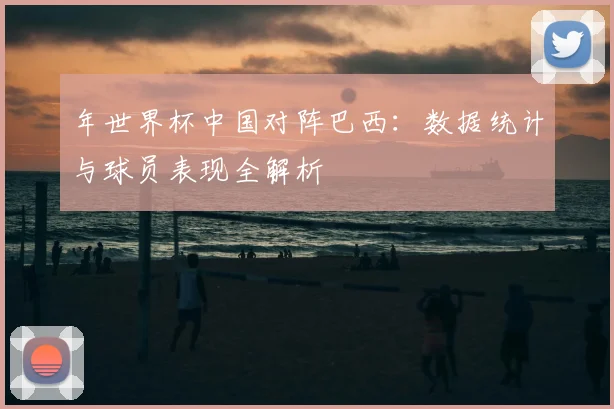 年世界杯中国对阵巴西：数据统计与球员表现全解析