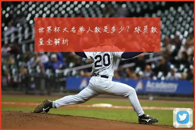 世界杯大名单人数是多少？球员数量全解析