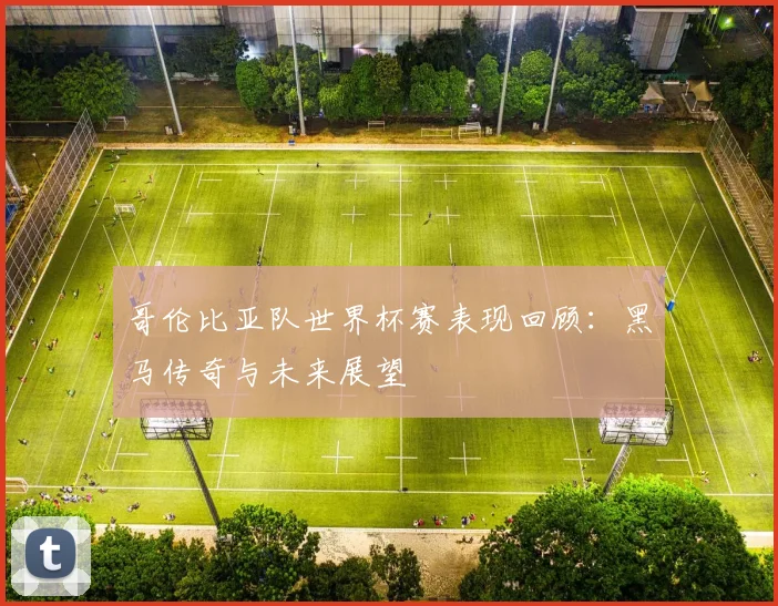 哥伦比亚队世界杯赛表现回顾:黑马传奇与未来展望