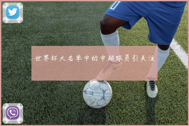 世界杯大名单中的中超球员引关注