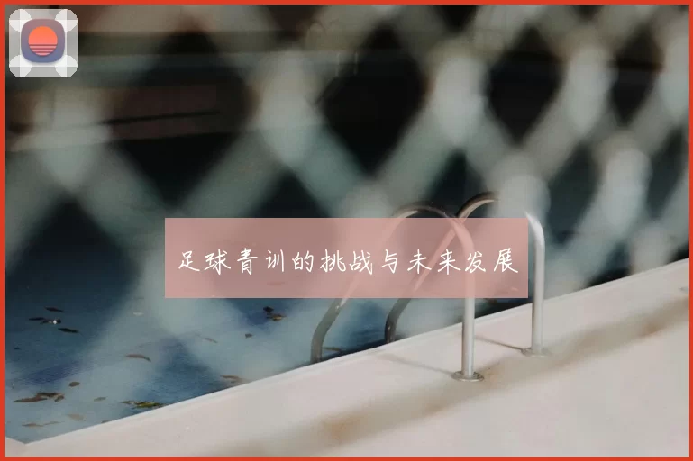 足球青训的挑战与未来发展