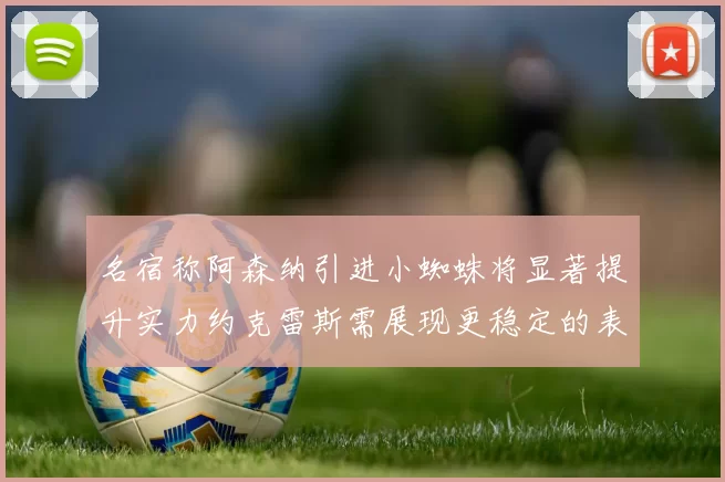 名宿称阿森纳引进小蜘蛛将显著提升实力约克雷斯需展现更稳定的表现