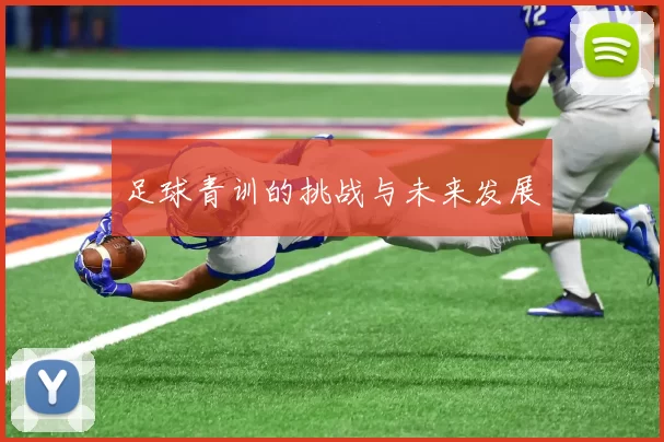 足球青训的挑战与未来发展