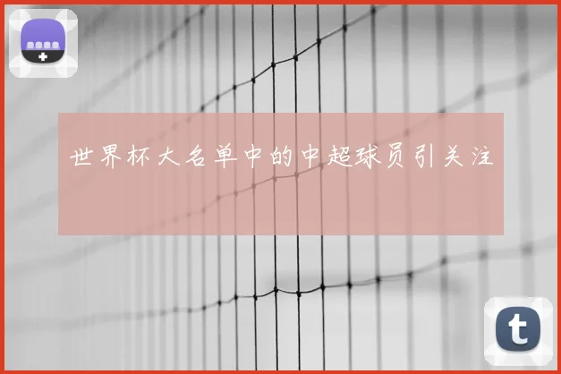 世界杯大名单中的中超球员引关注