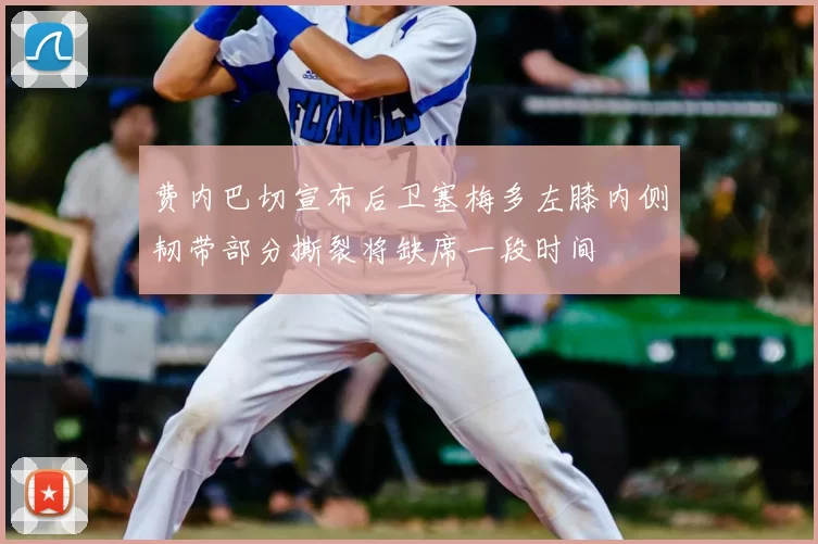 费内巴切宣布后卫塞梅多左膝内侧韧带部分撕裂将缺席一段时间